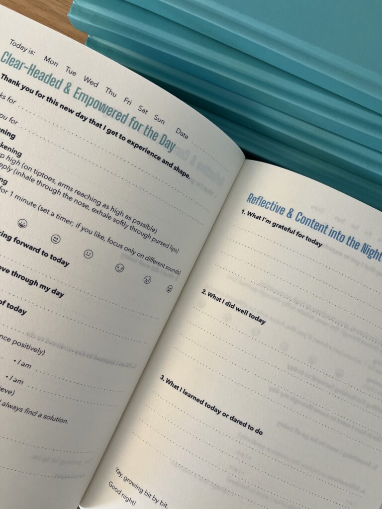 Mental Housekeeping Journal – for 66 Days ENGLISH